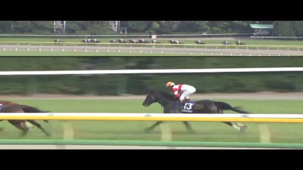 2010年　NHKマイルカップ　ダノンシャンティ